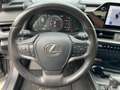 Lexus UX 250h Style Edition CloudNavi*KAM*DAB*SHZ Grau - thumbnail 12