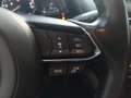 Mazda CX-3 CX-3 1.5L Skyactiv-D AWD aut. Luxury Edition Grau - thumbnail 19