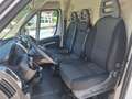 Fiat Ducato 35 2.3 MJT 140CV XL H3 Maxi N°FZ529 Bianco - thumbnail 11