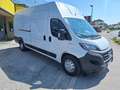 Fiat Ducato 35 2.3 MJT 140CV XL H3 Maxi N°FZ529 Bianco - thumbnail 9