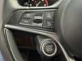 Alfa Romeo Stelvio 2.2d Super Automaat Cruise Led Navi 2019 Eerste Ei Wit - thumbnail 20