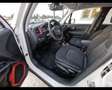 Jeep Renegade 1.3 T4 PHEV Trailhawk Weiß - thumbnail 7