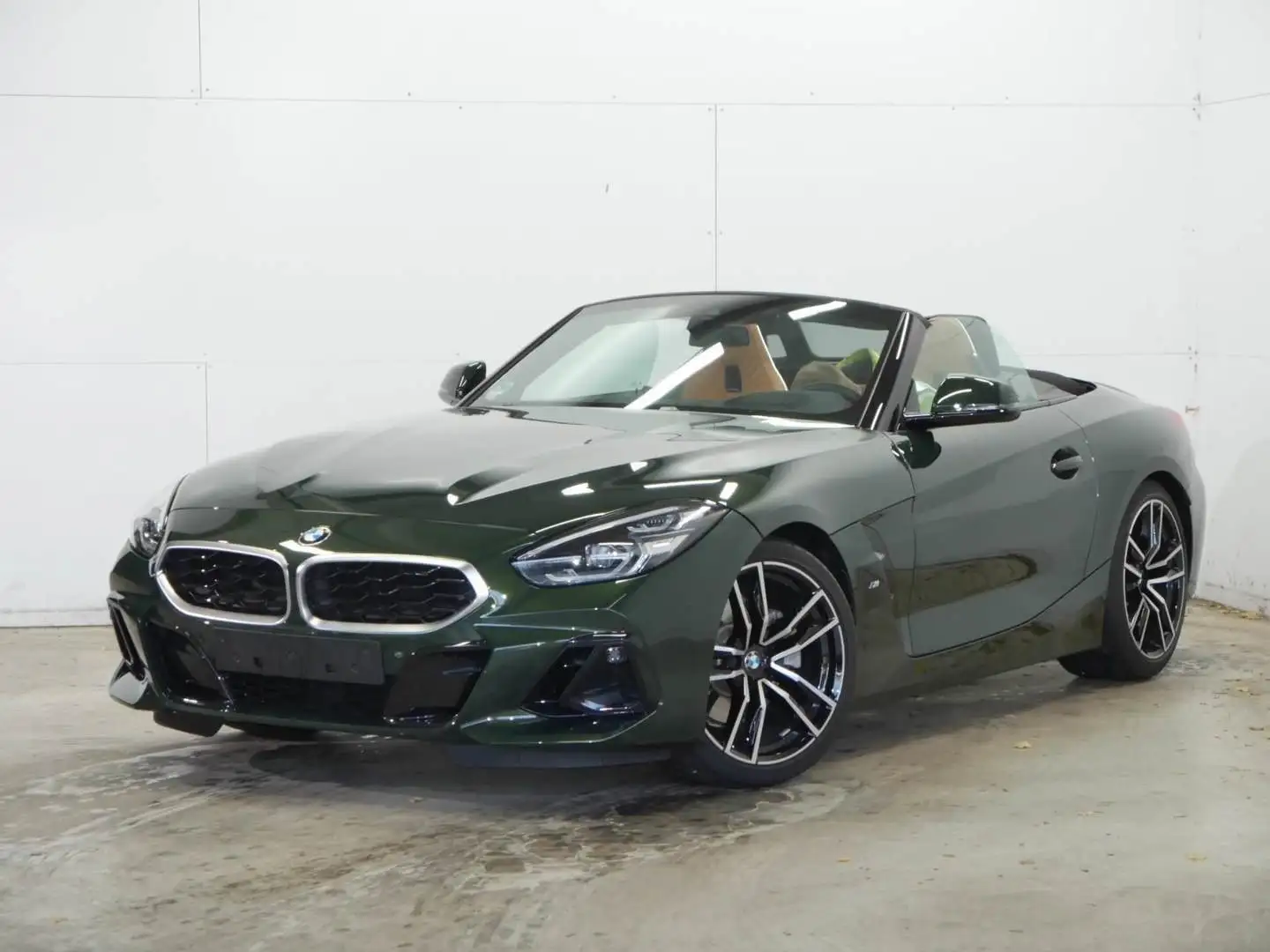 BMW Z4 sDrive20i Roadster M Sport 19" eSitze RFK Vert - 1