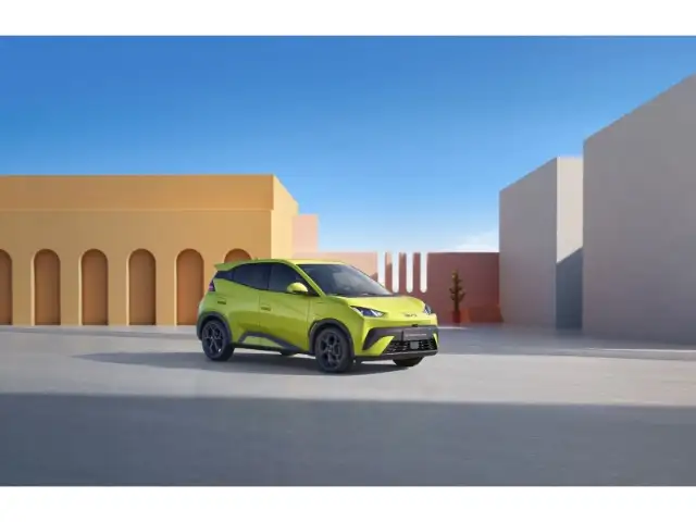 BYD Dolphin Boost Kamera/LED/Navi/Carplay Bestellfahrzeug