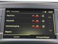 Opel Vivaro Kasten L3 Mixto 6-Sitze 2.0D*Tempom PDC Grau - thumbnail 12