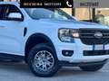 Ford Ranger 2.0 ECOBLUE DC XLT 5 posti Aut. Blanc - thumbnail 4