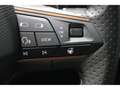 CUPRA Formentor 1.5 TSI DSG Navi*AHK* CAM*SHZ*LED Grau - thumbnail 19