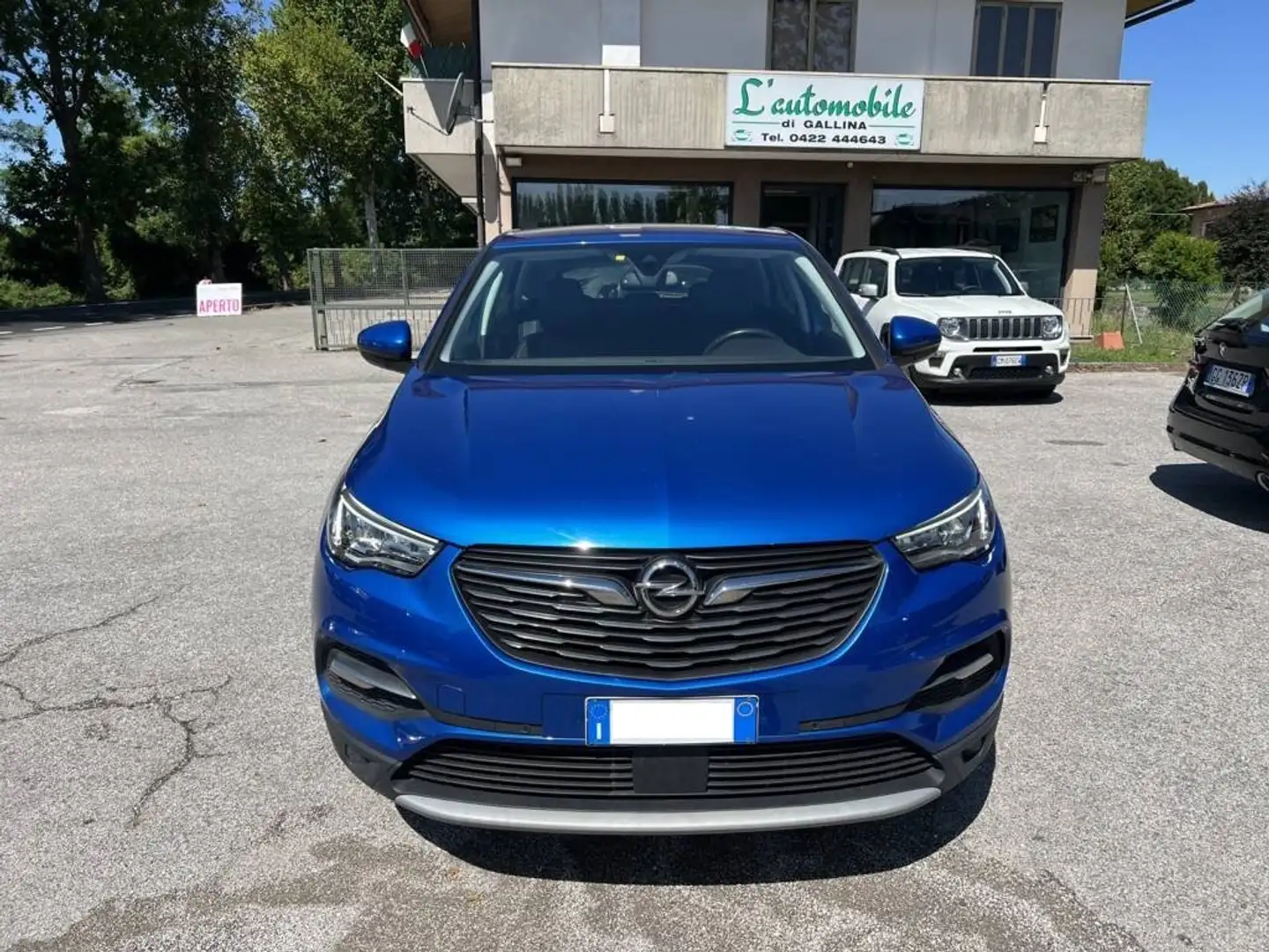Opel Grandland X Grandland X 1.5 ecotec Design Line s Blauw - 1