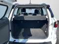 Ford EcoSport 1.0 ST-Line SHZ Klimaautomatik R-Kamera Blanco - thumbnail 15