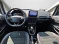 Ford EcoSport 1.0 ST-Line SHZ Klimaautomatik R-Kamera Blanco - thumbnail 3