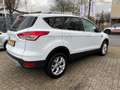 Ford Kuga 1.6 16 ecoboost Titanium 4WD 182 pk automaat, 115. Wit - thumbnail 11