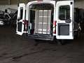 Ford Transit Kombi 330 L2 Trend BTW KMP Rampe Standhe Weiß - thumbnail 3