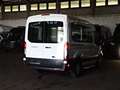 Ford Transit Kombi 330 L2 Trend BTW KMP Rampe Standhe Weiß - thumbnail 4