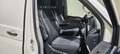 Volkswagen T6 Transporter LR - LED, AHK, Tempomat, Standheizung, uvm. Weiß - thumbnail 11