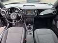Volkswagen Beetle Lim. Design BMT Schwarz - thumbnail 15