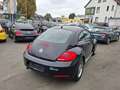Volkswagen Beetle Lim. Design BMT Schwarz - thumbnail 5