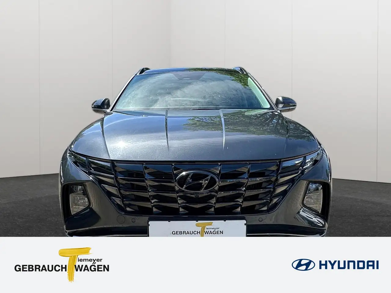Hyundai TUCSON Plugin-Hybrid 1.6 T-Gdi Prime 4WD Assit2, миниатюра 2