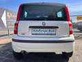 Fiat Panda 1.2 8V Dynamic Klima Blanc - thumbnail 6