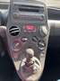 Fiat Panda 1.2 8V Dynamic Klima Blanc - thumbnail 10