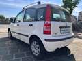Fiat Panda 1.2 8V Dynamic Klima Blanc - thumbnail 5
