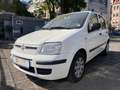 Fiat Panda 1.2 8V Dynamic Klima Blanc - thumbnail 2