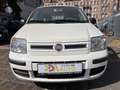 Fiat Panda 1.2 8V Dynamic Klima Blanc - thumbnail 1
