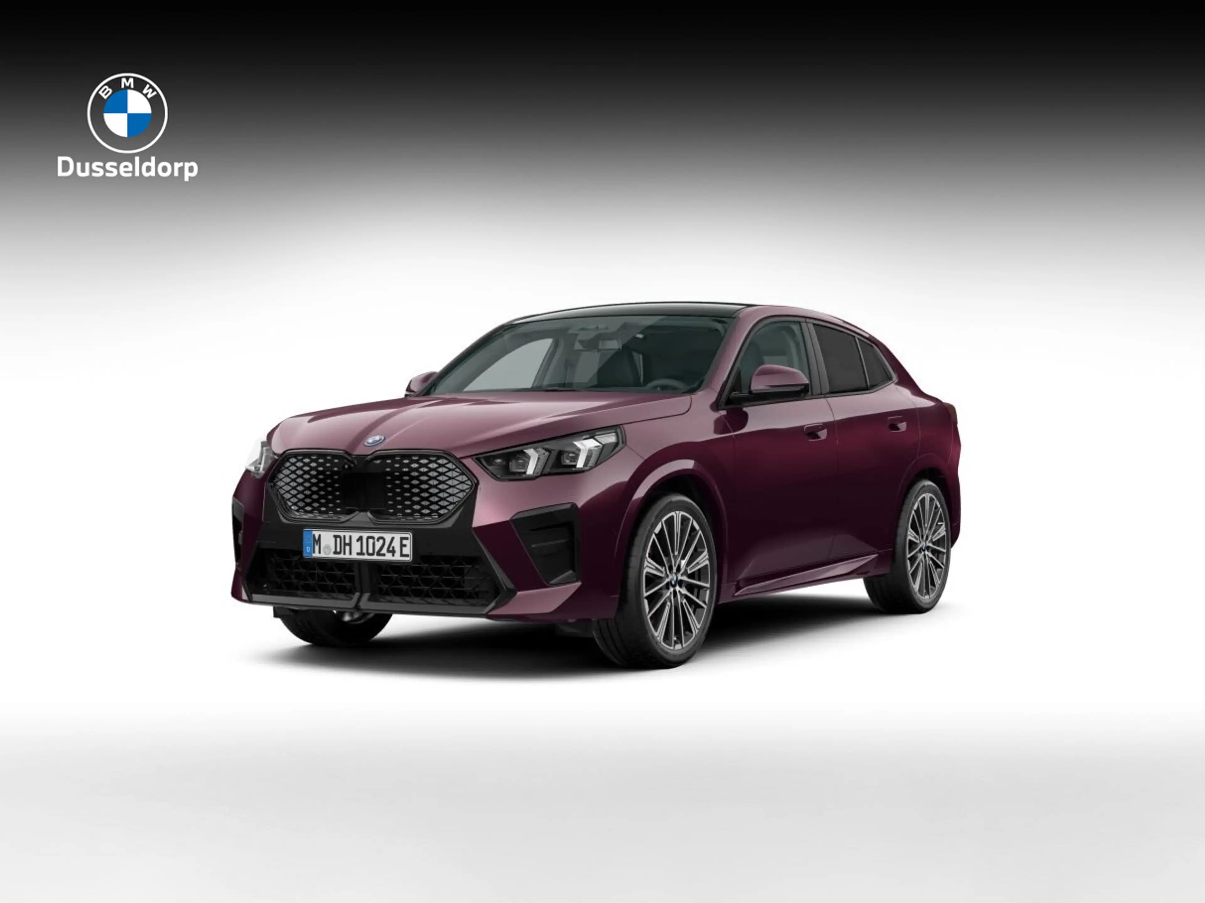 BMW iX2 eDrive20 67 kWh M Sport Pro | Harman Kardon audios