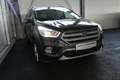 Ford Kuga 2,0 TDCi Titanium Powershift Aut. AWD Grau - thumbnail 2