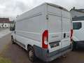 Fiat Ducato Hochr.-Kasten 33 130 L2H2 RS: 3450 mm Weiß - thumbnail 7