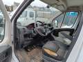 Fiat Ducato Hochr.-Kasten 33 130 L2H2 RS: 3450 mm Weiß - thumbnail 8