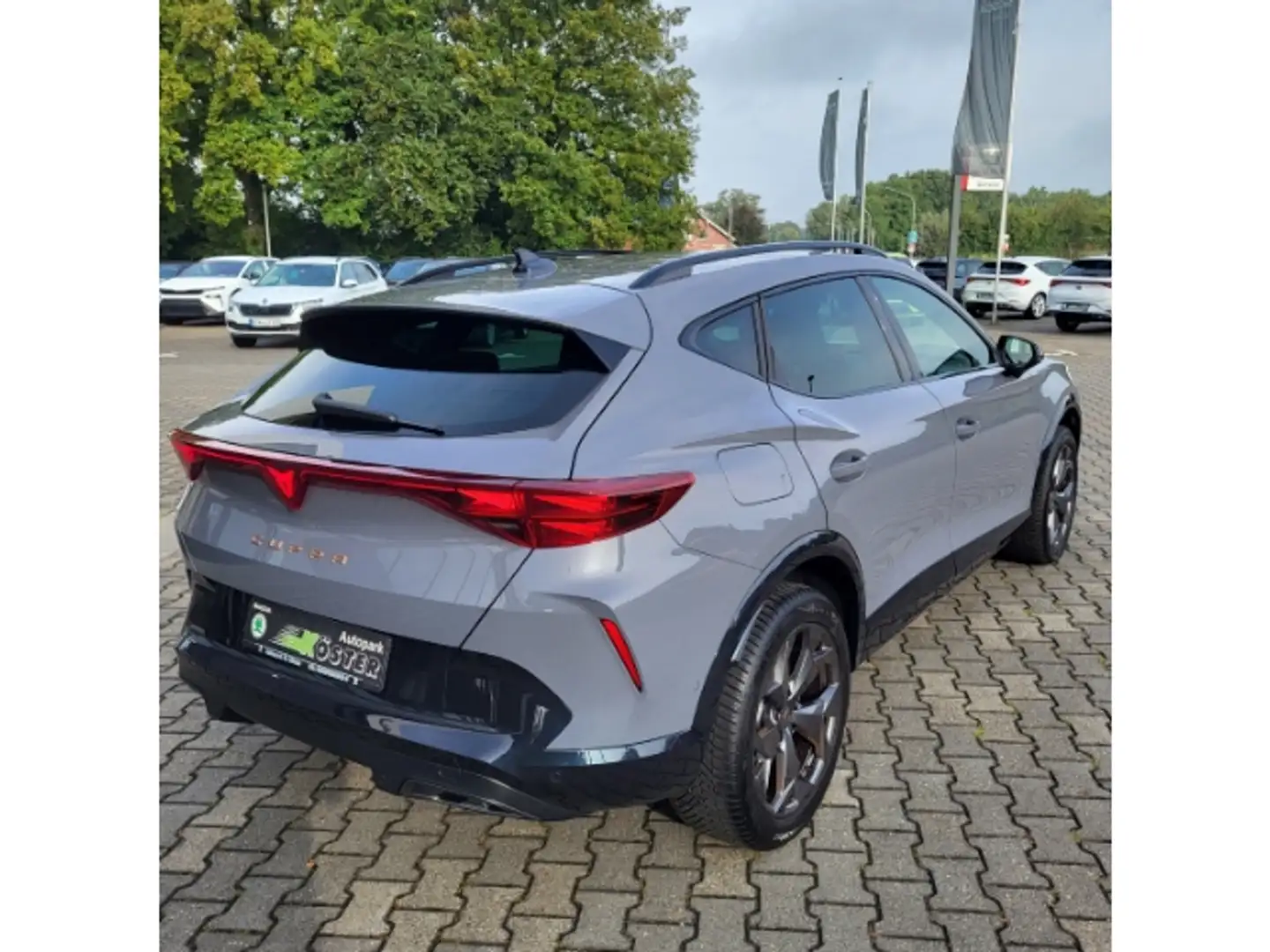 CUPRA Formentor 2.0 TDI 110 kW 7 Gang DSG ACC*GJR*NAV*IPS Gris - 2