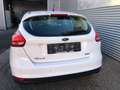 Ford Focus TREND #ZAHNRIEMEN GANZ NEU #ÖAMTC-PICKERL NEU #TOP Weiß - thumbnail 3