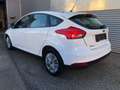 Ford Focus TREND #ZAHNRIEMEN GANZ NEU #ÖAMTC-PICKERL NEU #TOP Weiß - thumbnail 4