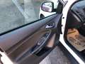 Ford Focus TREND #ZAHNRIEMEN GANZ NEU #ÖAMTC-PICKERL NEU #TOP Weiß - thumbnail 21
