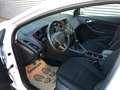 Ford Focus TREND #ZAHNRIEMEN GANZ NEU #ÖAMTC-PICKERL NEU #TOP Weiß - thumbnail 10