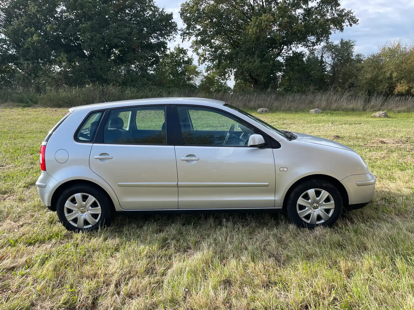 Volkswagen Polo Comfortline Grau - 2