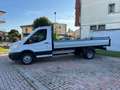 Ford Transit 350 2.2 tdci 155cv PL PWD cabinato entry Bianco - thumbnail 4
