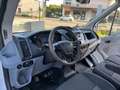 Ford Transit 350 2.2 tdci 155cv PL PWD cabinato entry Bianco - thumbnail 11