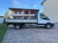 Ford Transit 350 2.2 tdci 155cv PL PWD cabinato entry Bianco - thumbnail 3