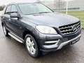 Mercedes-Benz ML 350 ML-350 BlueEfficiency Navi+Camera/Leder/SD/EURO5 Gris - thumbnail 8