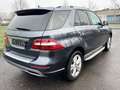 Mercedes-Benz ML 350 ML-350 BlueEfficiency Navi+Camera/Leder/SD/EURO5 Gris - thumbnail 9