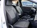Ford Puma Hybrid 360 Grad Kamera Titanium Ganzjahresreifen Wit - thumbnail 7