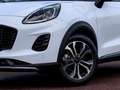 Ford Puma Hybrid 360 Grad Kamera Titanium Ganzjahresreifen Wit - thumbnail 6