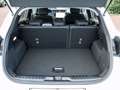 Ford Puma Hybrid 360 Grad Kamera Titanium Ganzjahresreifen Wit - thumbnail 12