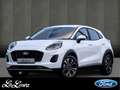 Ford Puma Hybrid 360 Grad Kamera Titanium Ganzjahresreifen Wit - thumbnail 1