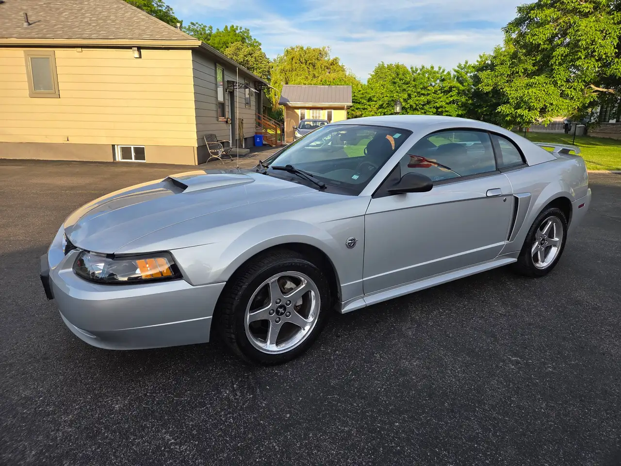 Ford Mustang fotografie Ford Mustang