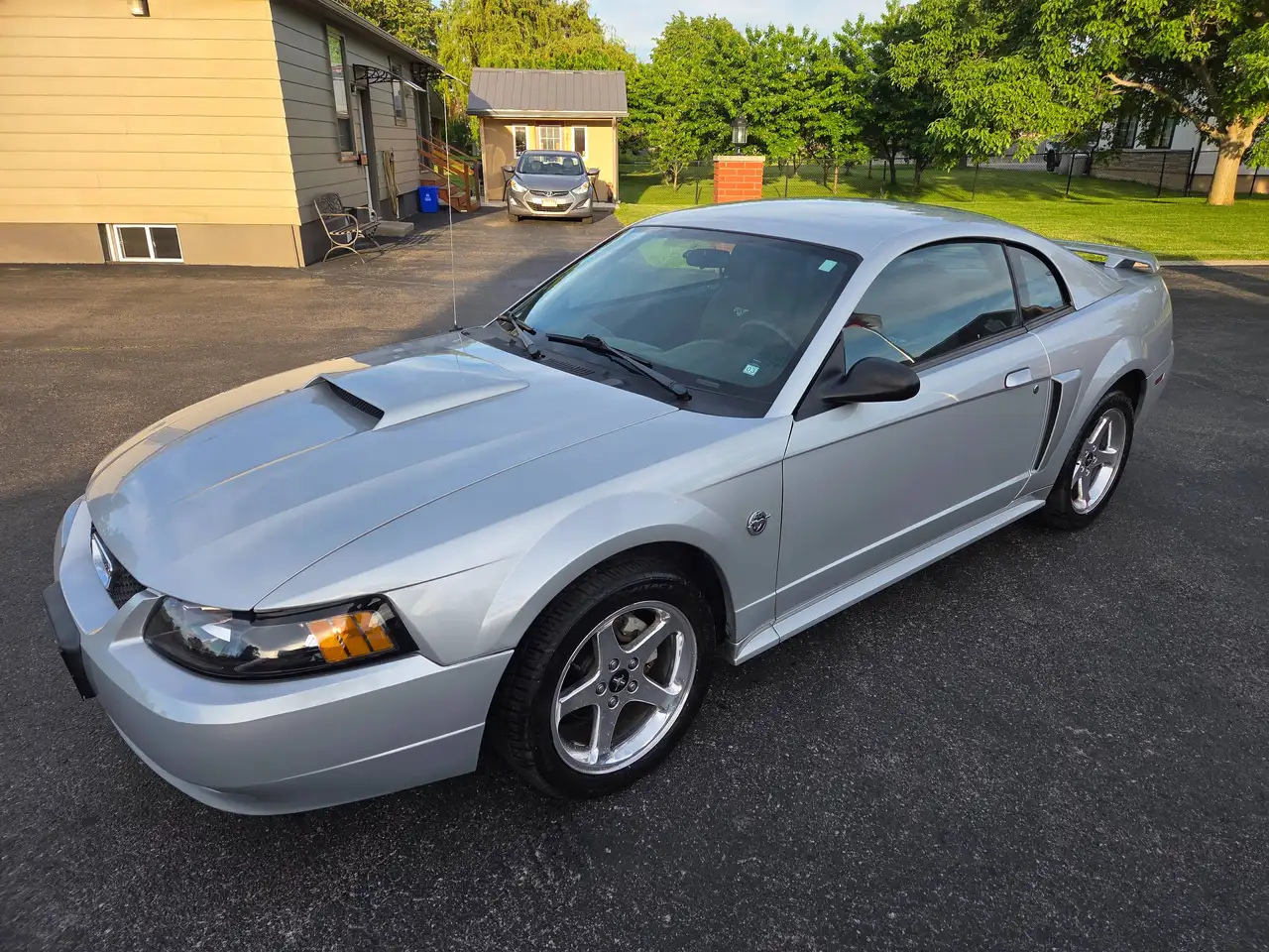 Ford Mustang fotografie Ford Mustang