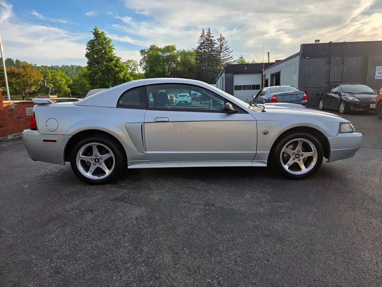 Ford Mustang fotografie Ford Mustang