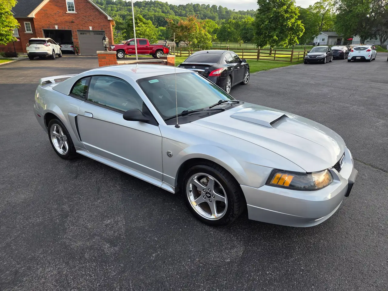 Ford Mustang fotografie Ford Mustang