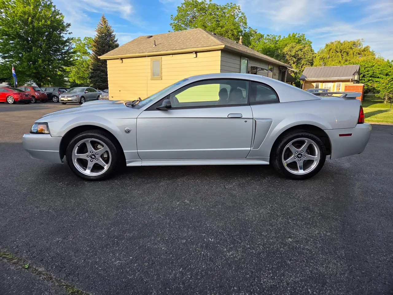 Ford Mustang fotografie Ford Mustang